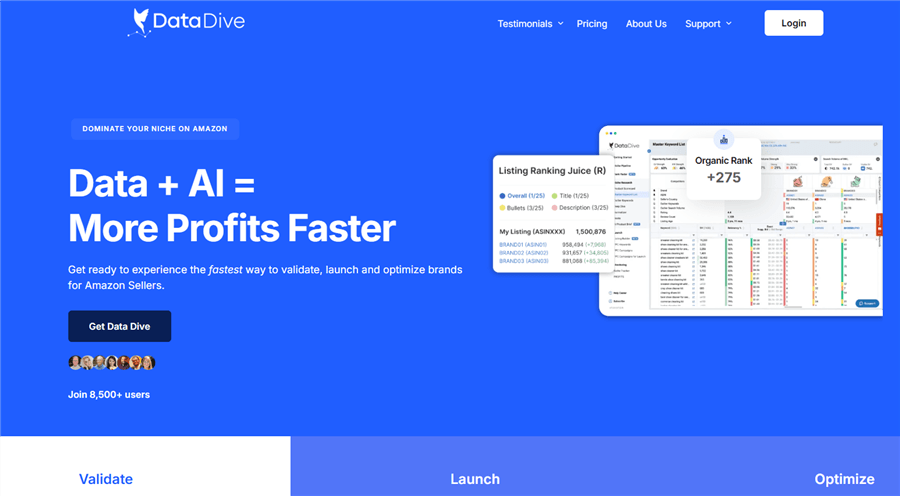 DataDive Overview