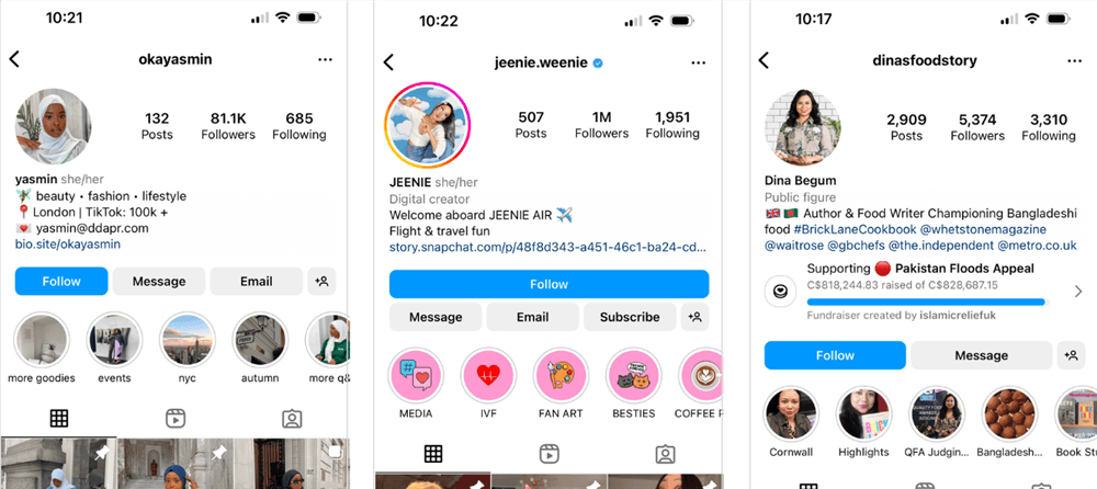 Instagram Profile and Bio