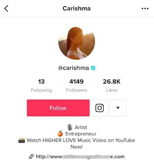 TikTok Profile
