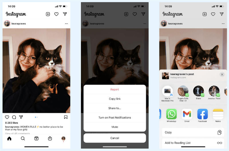 Share Instagram Post