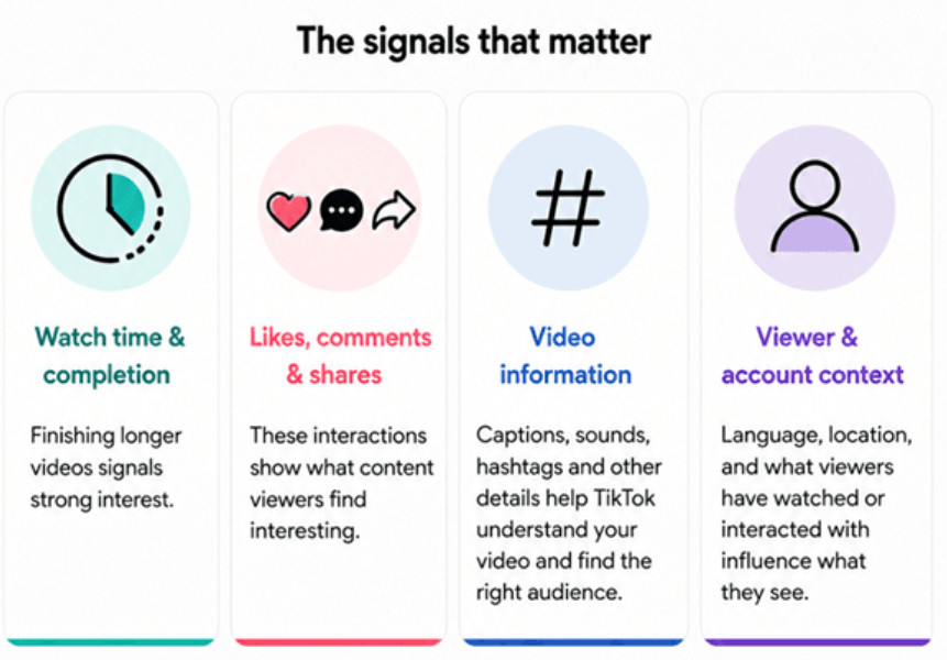 Signals that Matter for TikTok