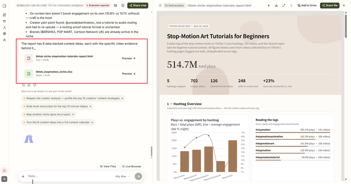 Report of TikTok Niche Research by AllyHub