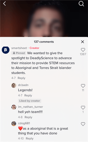 Reply to Useful Comments
